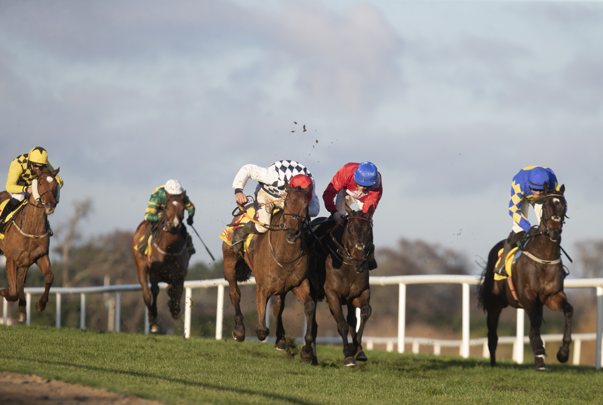 Cheltenham Gold Cup Tips: Galvin and Gordo gunning for Gold Cup glory